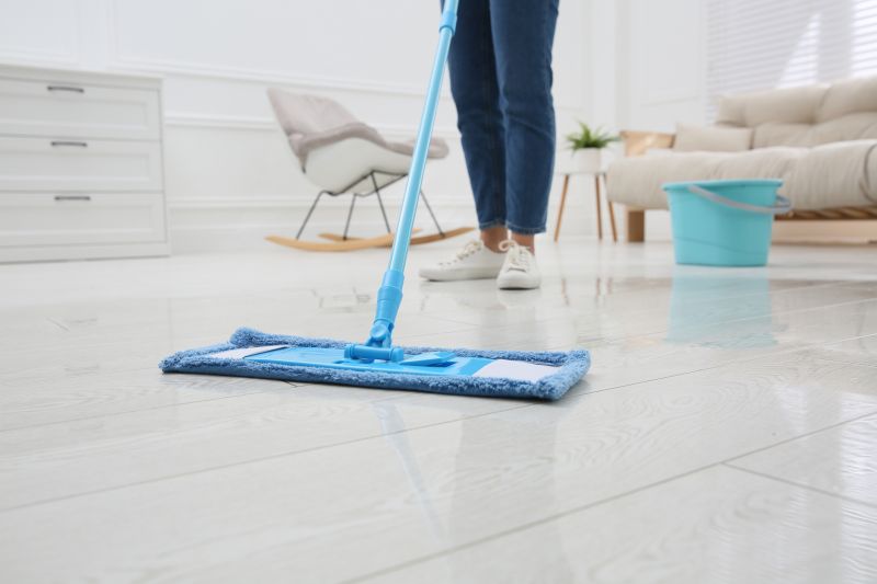Mopping Service in Redmond, WA