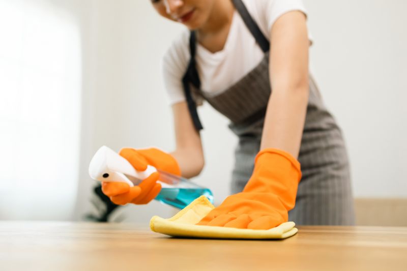 Reo Property Cleaning in Frisco, TX